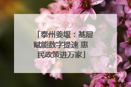 泰州姜堰：基层赋能数字提速 惠民政策进万家